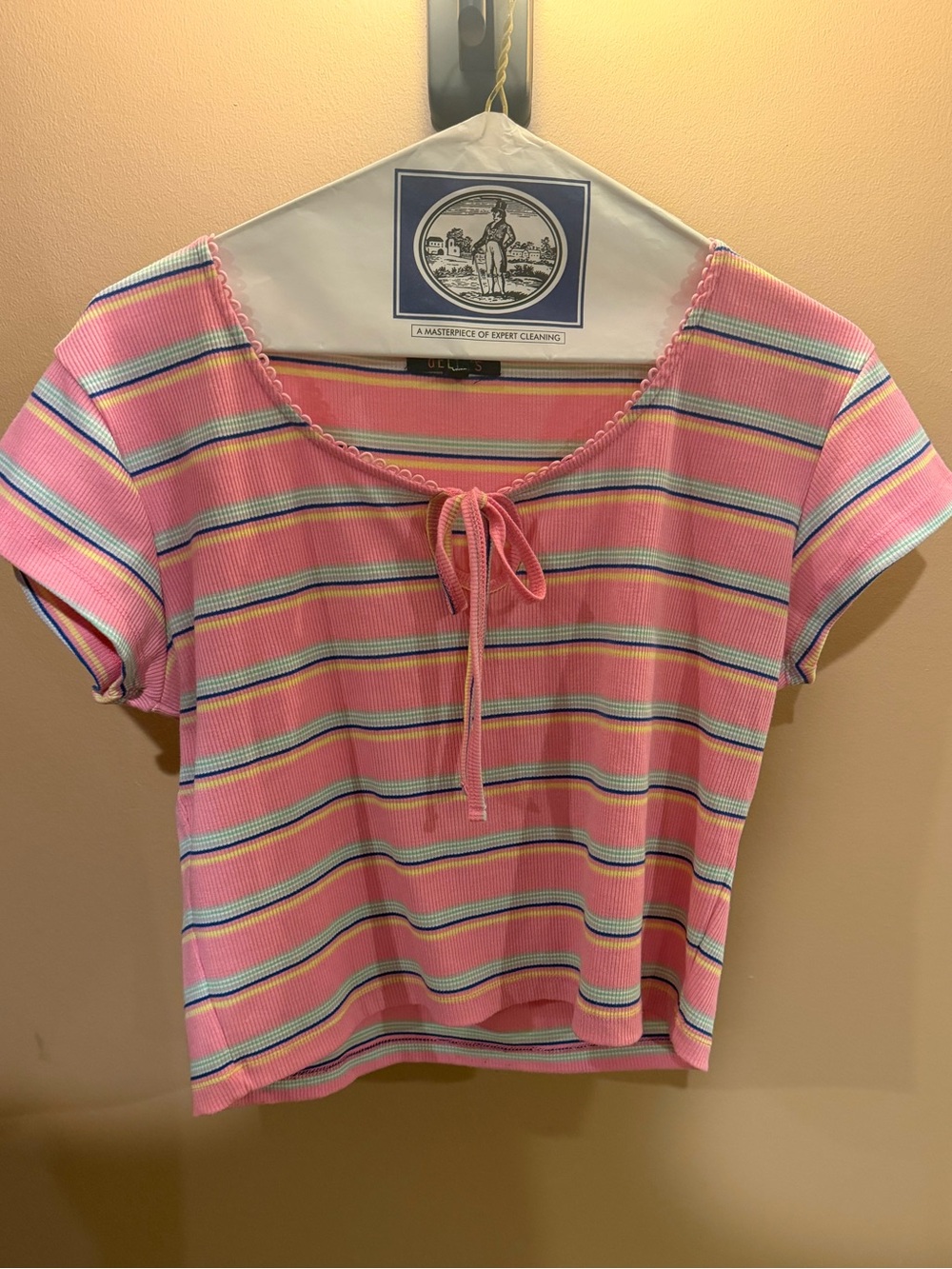 dELiA*s Pink Striped Tie-Front Crop Top